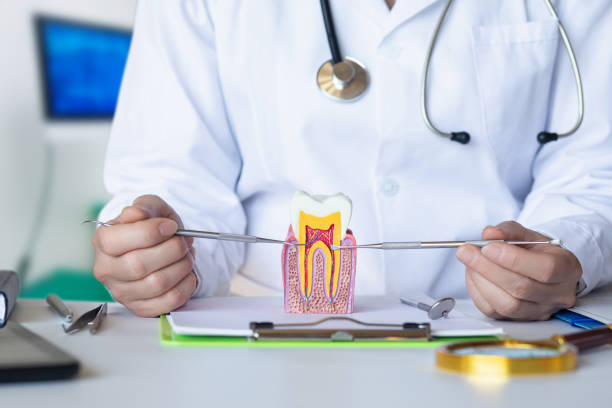 Best Urgent Dental Care for Toothaches in Jackson, LA